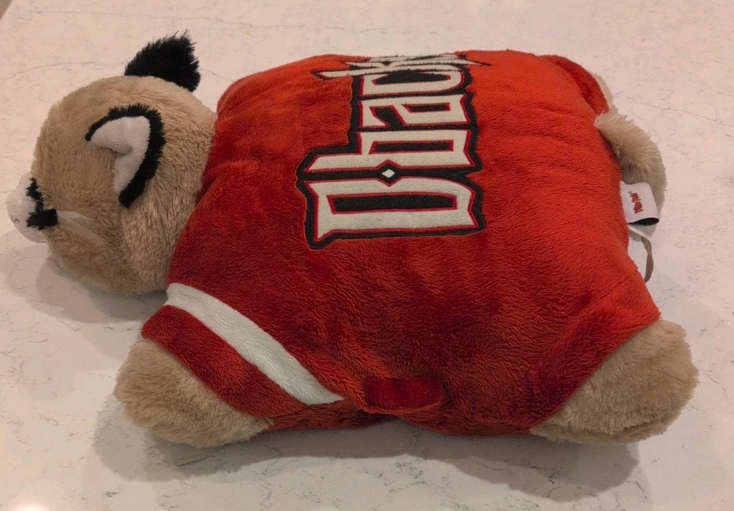 ARIZONA DIAMONDBACKS MLB LARGE 18″ BAXTER MASCOT PILLOW PET