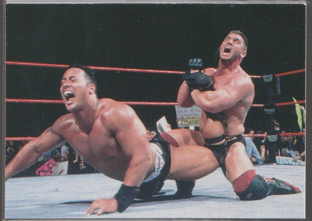 1998 DuoCards WWF #14 Ken Shamrock