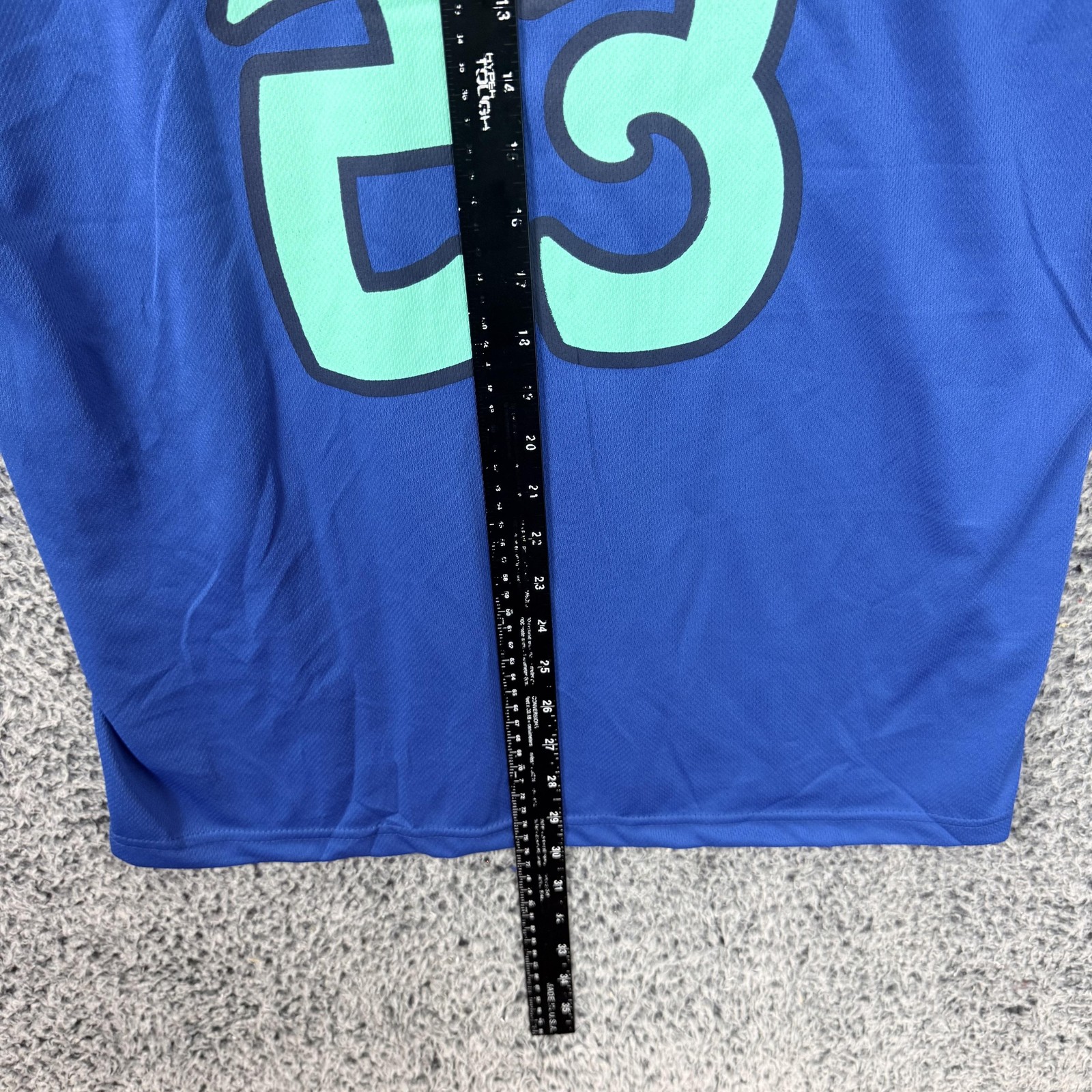 Asheville Tourists Jersey Mens Large Blue MiLB Baseball Promotional Adventures L