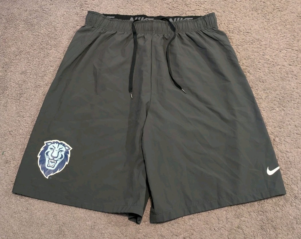 Nike Columbia University Lions Ivy League 9″ Gray Shorts AQ3496-060 Men’s XL