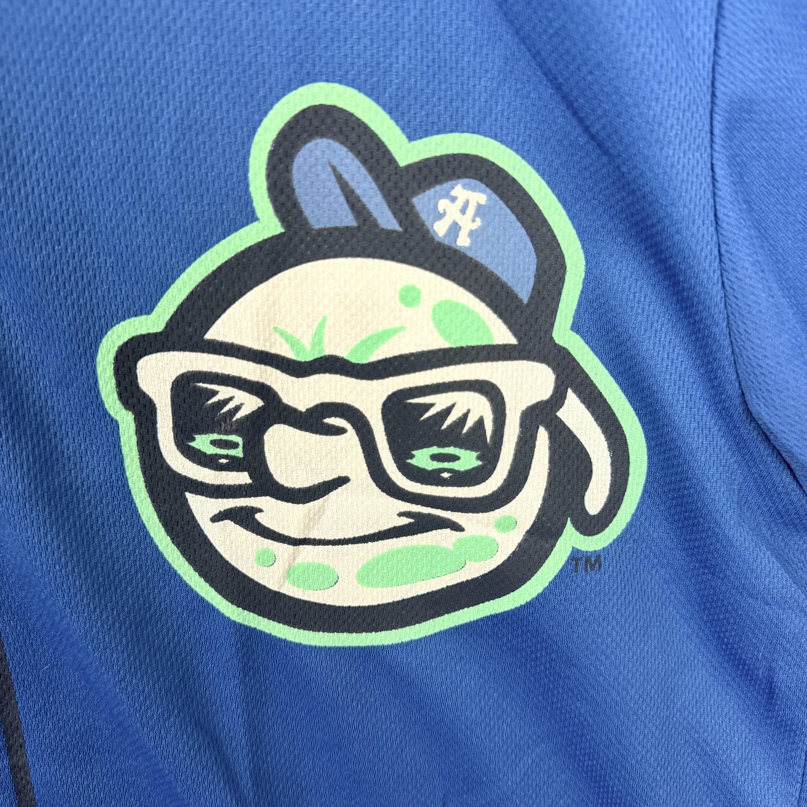 Asheville Tourists Jersey Mens Large Blue MiLB Baseball Promotional Adventures L