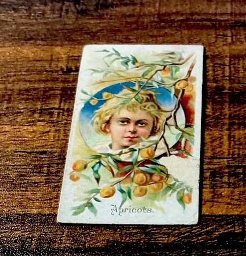 1891 N12 Allen & Ginter, Fruits, Apricots, Ex Obverse, Tough Set To Build