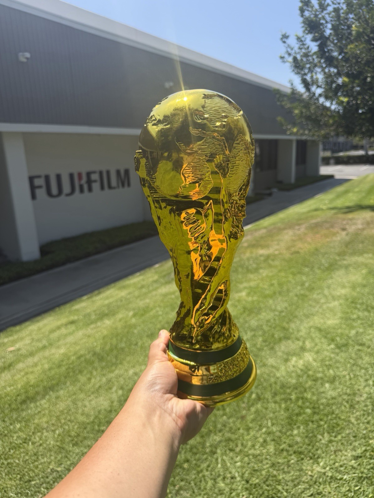 World Cup Trophy Replica 14.2in 2LB (resin and gold-plated)