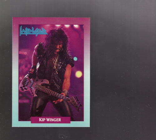 B1864- 1991 Rock Cards Music Card #s 1-200 -You Pick- 15+ FREE US SHIP