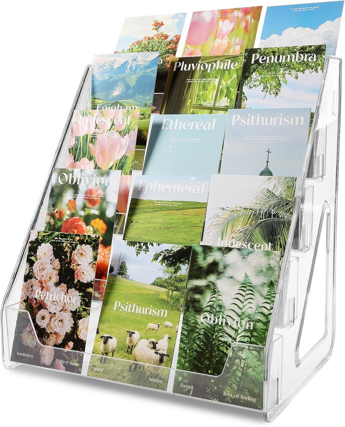 Trading Card Display Stand, 5 Tier Vertical Holder for Baseball Basketball Sport