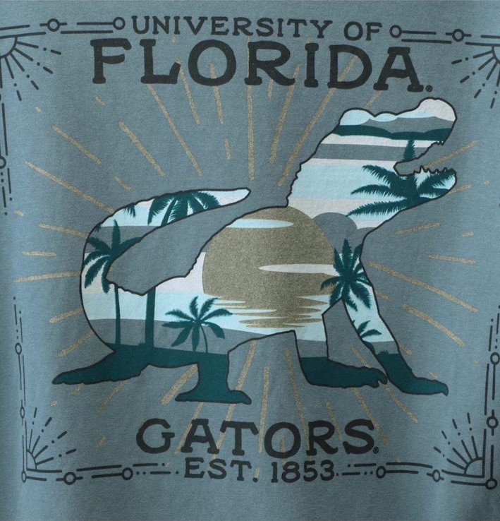 NWT Florida Gators State Scenery Comfort Colors T-Shirt – Blue Medium