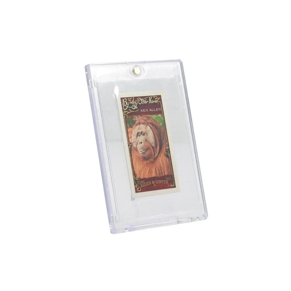 250 BCW Tobacco Trading Card Insert Sleeves Allen Ginter Baseball T206 Cigarette