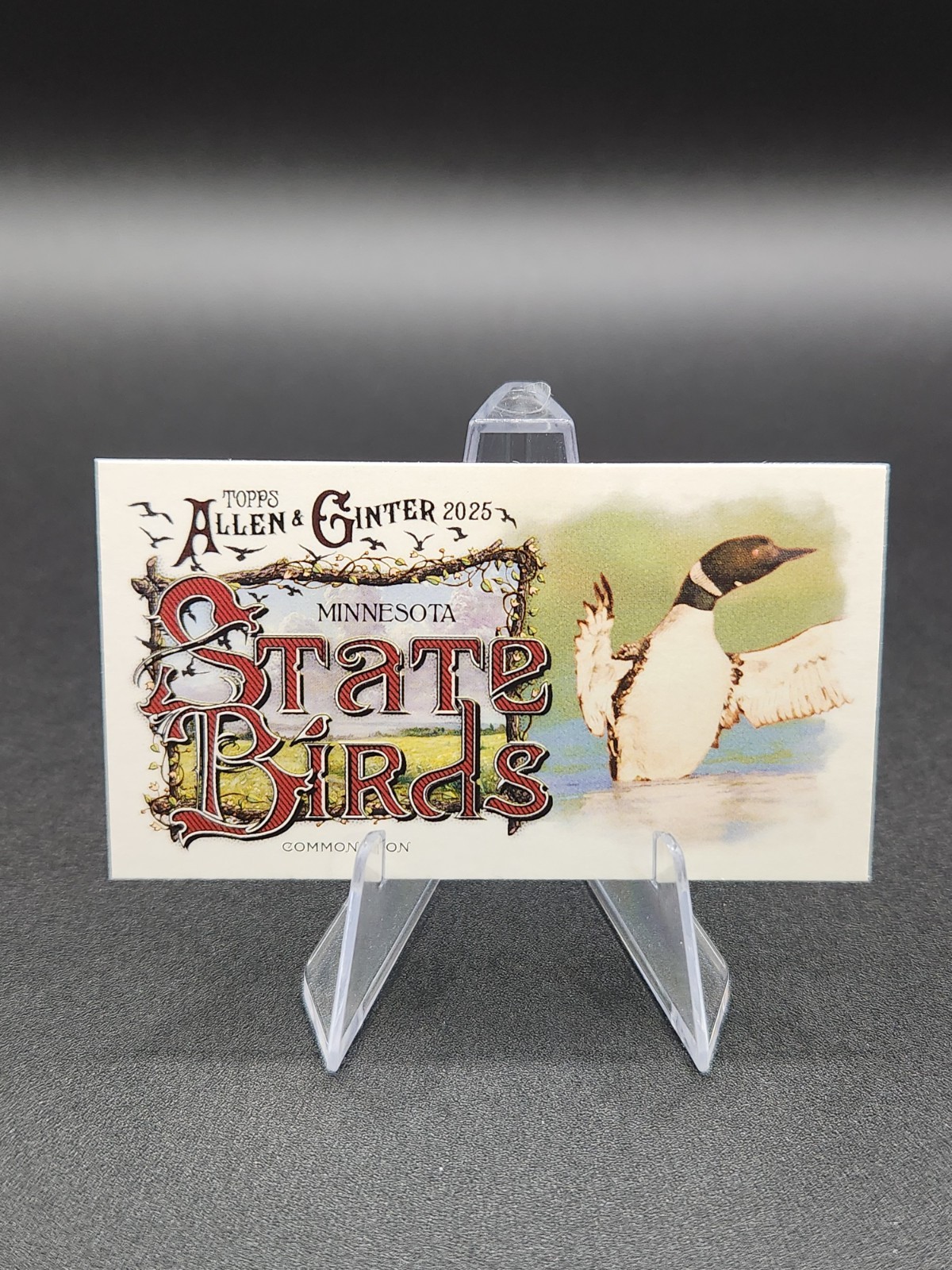 2025 Topps Allen & Ginter MLB #SB-23 COMMON LOON STATE BIRDS MINI INSERT CARD