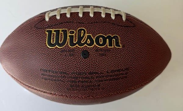 Wilson NFL Full Size Bronze Series Autograph or Play Football WTF1695