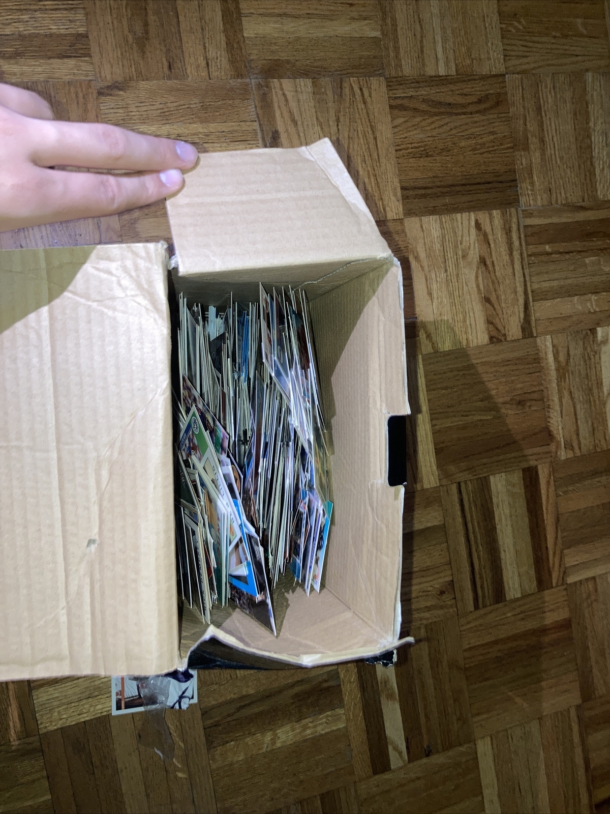 BCW 300 Sport cards (CONTAINS 300 CARDS)