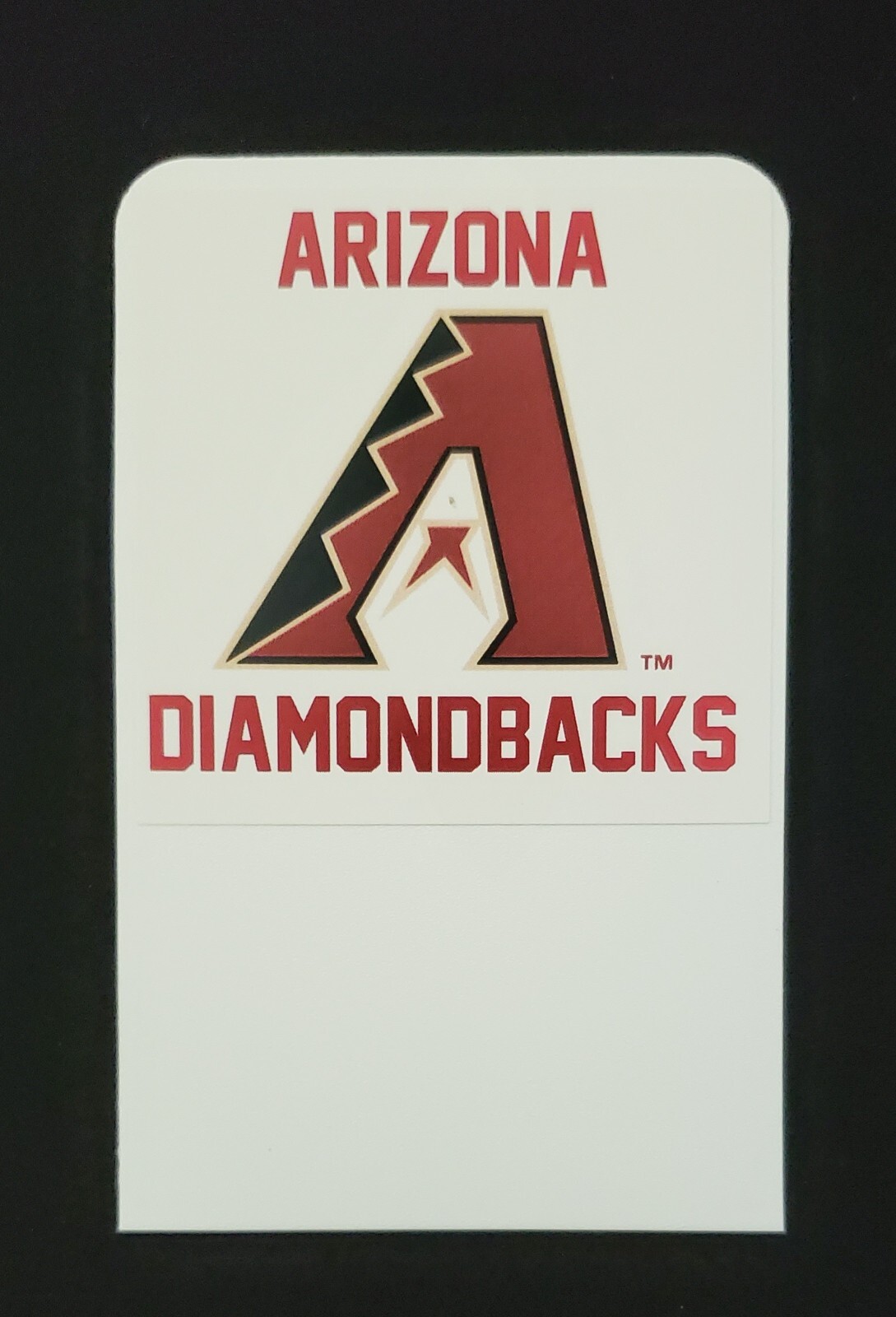92 TALL Sports Card Dividers 3 League Bundle w/ FREE Custom Team Logo Labels