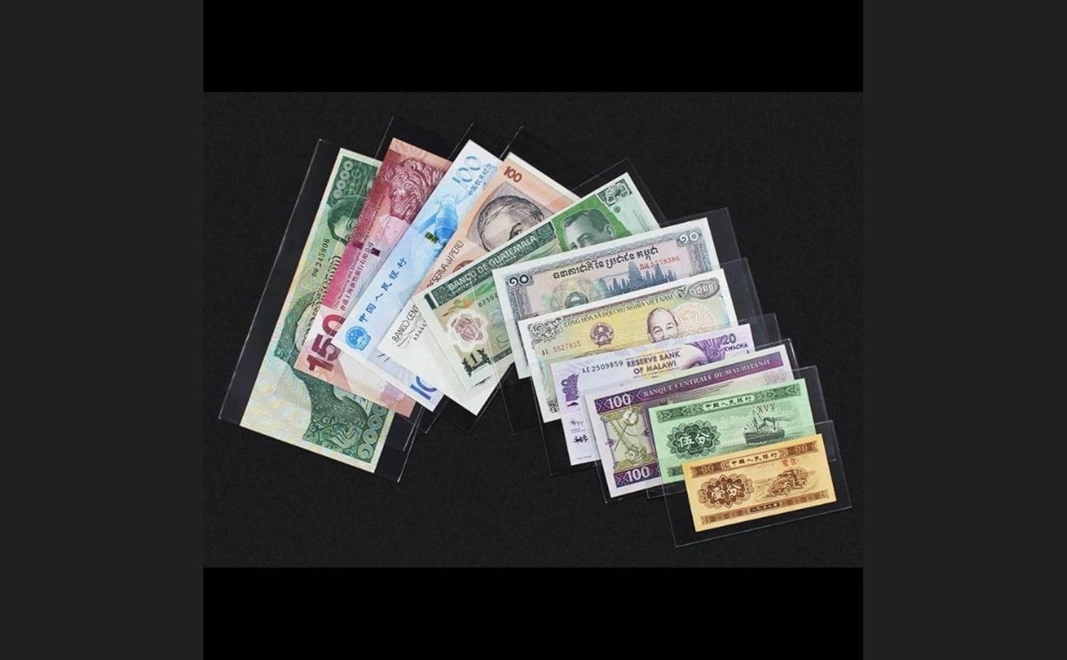 50-Pack Size 7 OPP Banknote Protective Sleeves for Safe Preservation