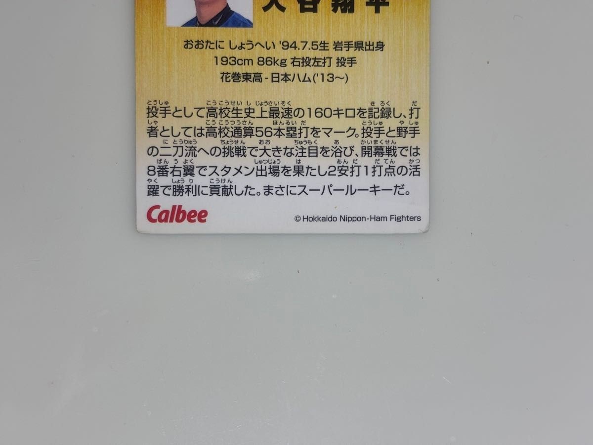 Shohei Ohtani 2013 CALBEE Exciting Rookies Card D-07 Nippon-Ham Fighters