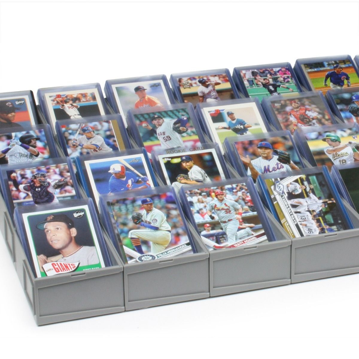 1x Customizable Modular Sorting Tray (Box of 6 Cells)