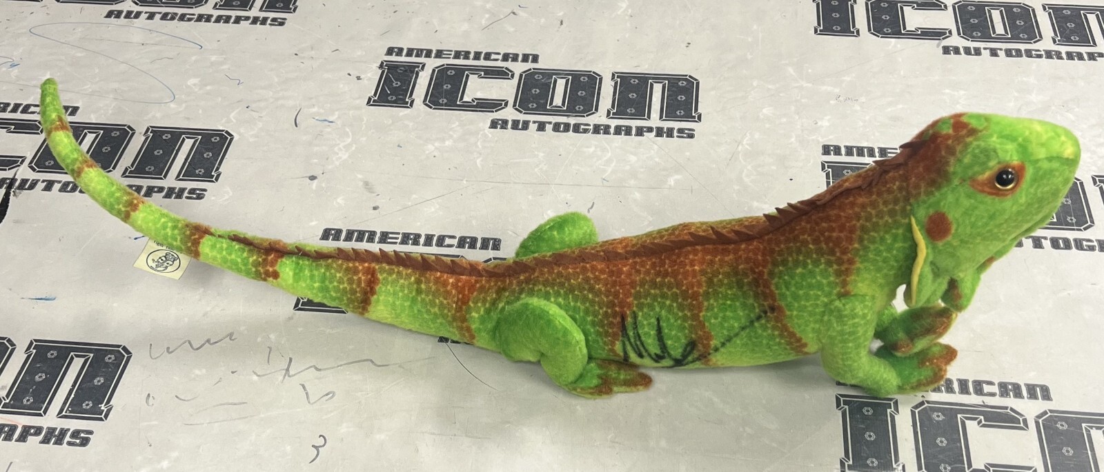 Mr. Iguana Signed 38″ Plush Yezka Stuffed Lizard WWE NXT Lucha Libre AAA Auto’d