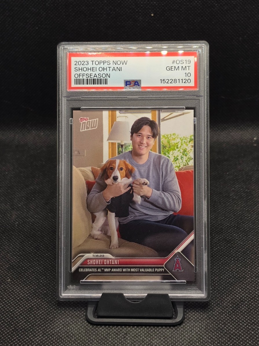 2023 Topps Now Shohei Ohtani MVP and Decoy / Puppy OS-19 PSA 10 Angels Dodgers