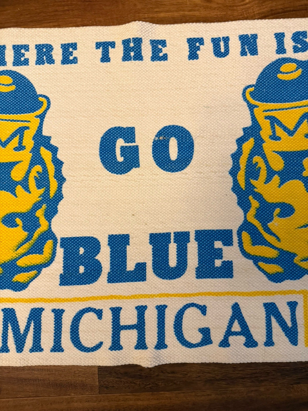 Vintage RARE Michigan Wolverines GO BLUE Tapestry Rug Banner Washable 42”x24”