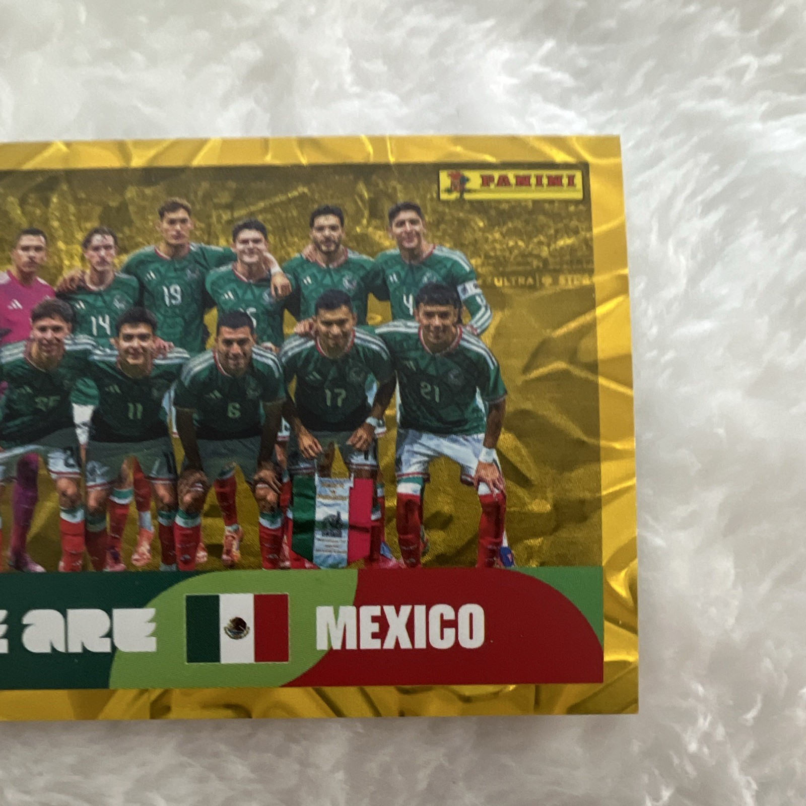 Panini FIFA World Cup 2026 MEX 13 Team Picture Mexico “We Are Mexico” Sticker