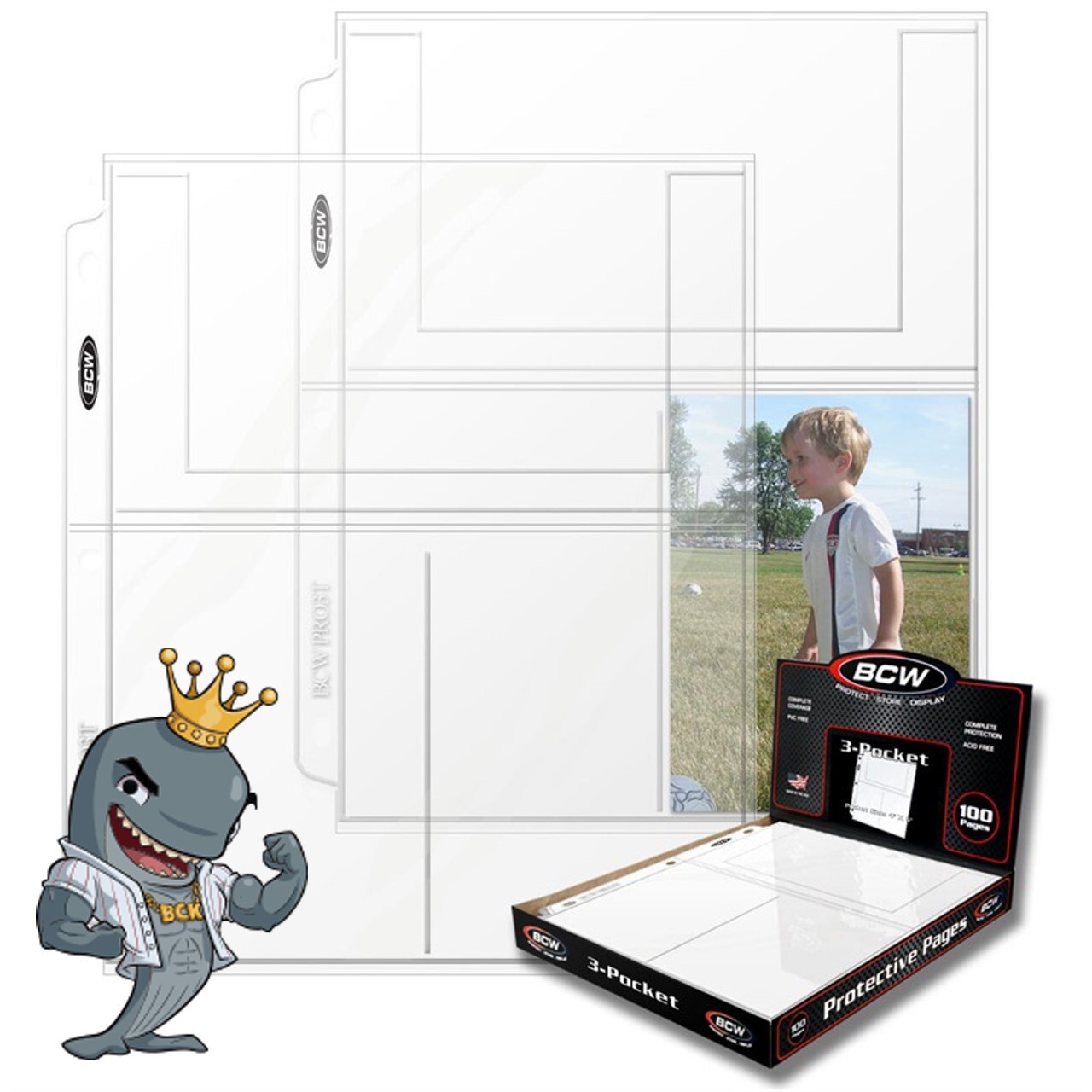BCW Pro 3-Pocket Pages 100ct Box FREE SHIP