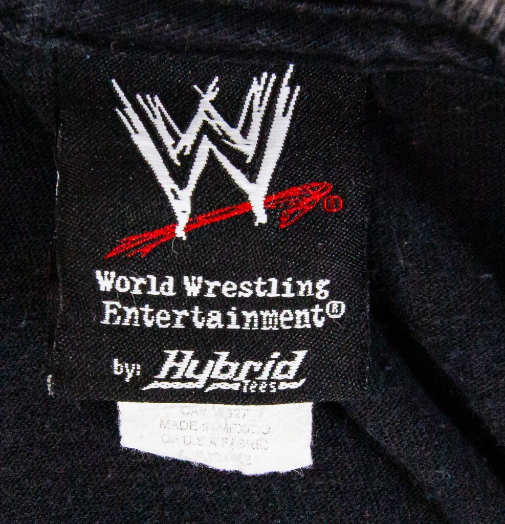 WWE D-Generation X by Hybrid Tees 2007 Graphic Short Sleeve Shirt Size Large