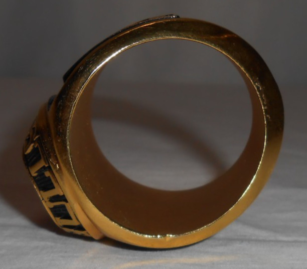 Vintage Chicago Bulls Jumbo Size 90’s Championship Ring Paperweight 4.2oz JORDAN