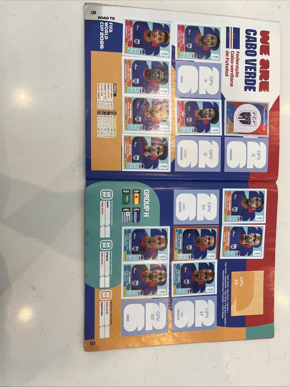 OFFICIAL Panini Sticker World Cup Album 75% Done 210 dollar value some rips