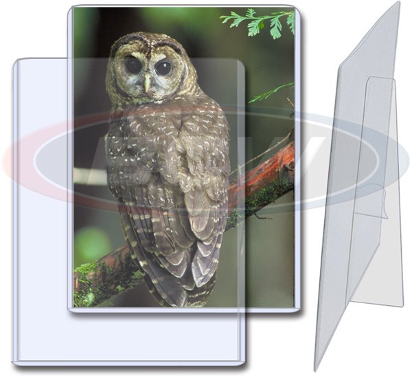1 Pack of (25) BCW 5 x 7 Toploaders Holders Photo Postcard Rigid Top Loader