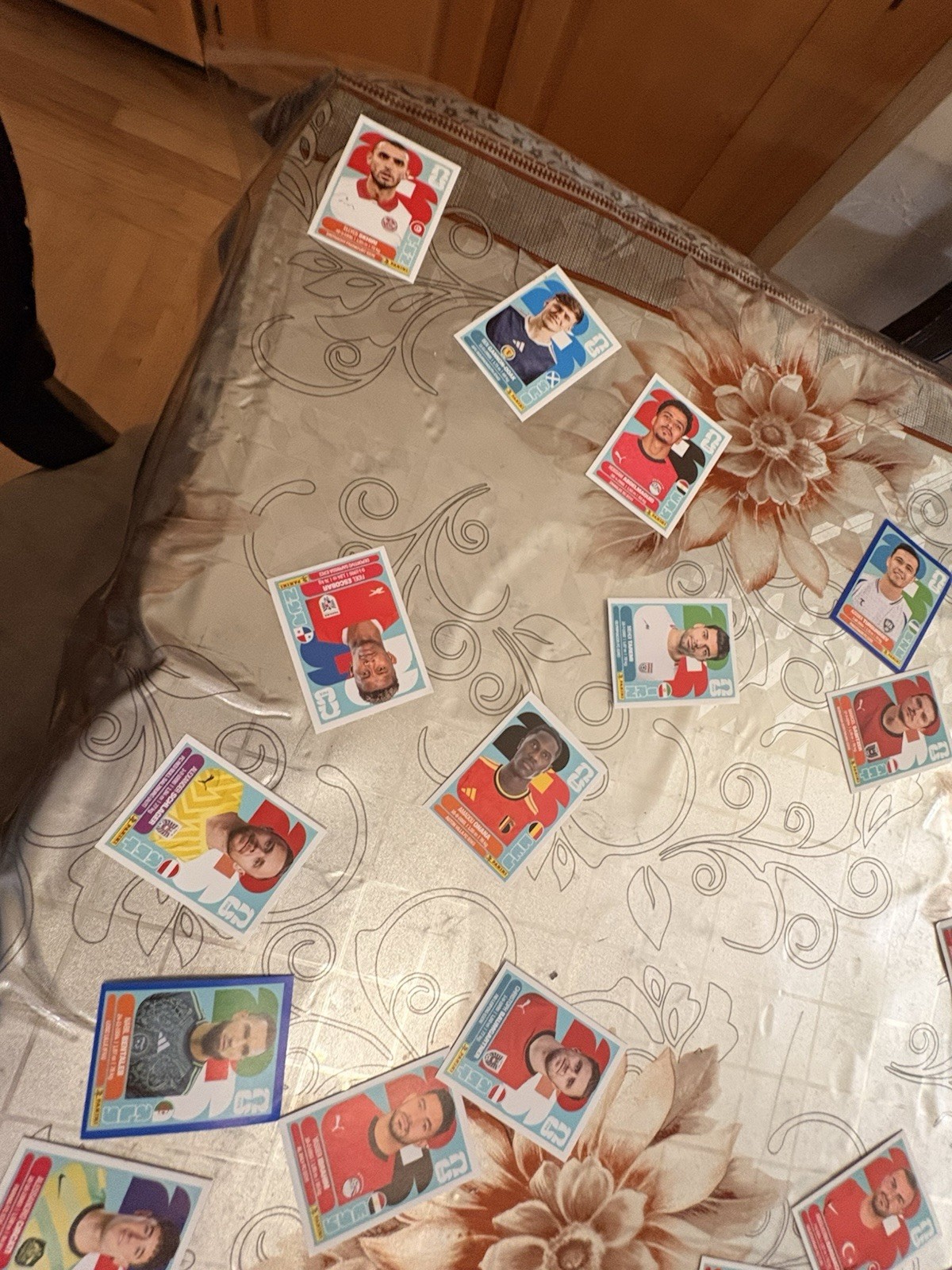 Panini FIFA World Cup Qatar 2026 Soccer Player Sticker Lot Non-Stuck Regular