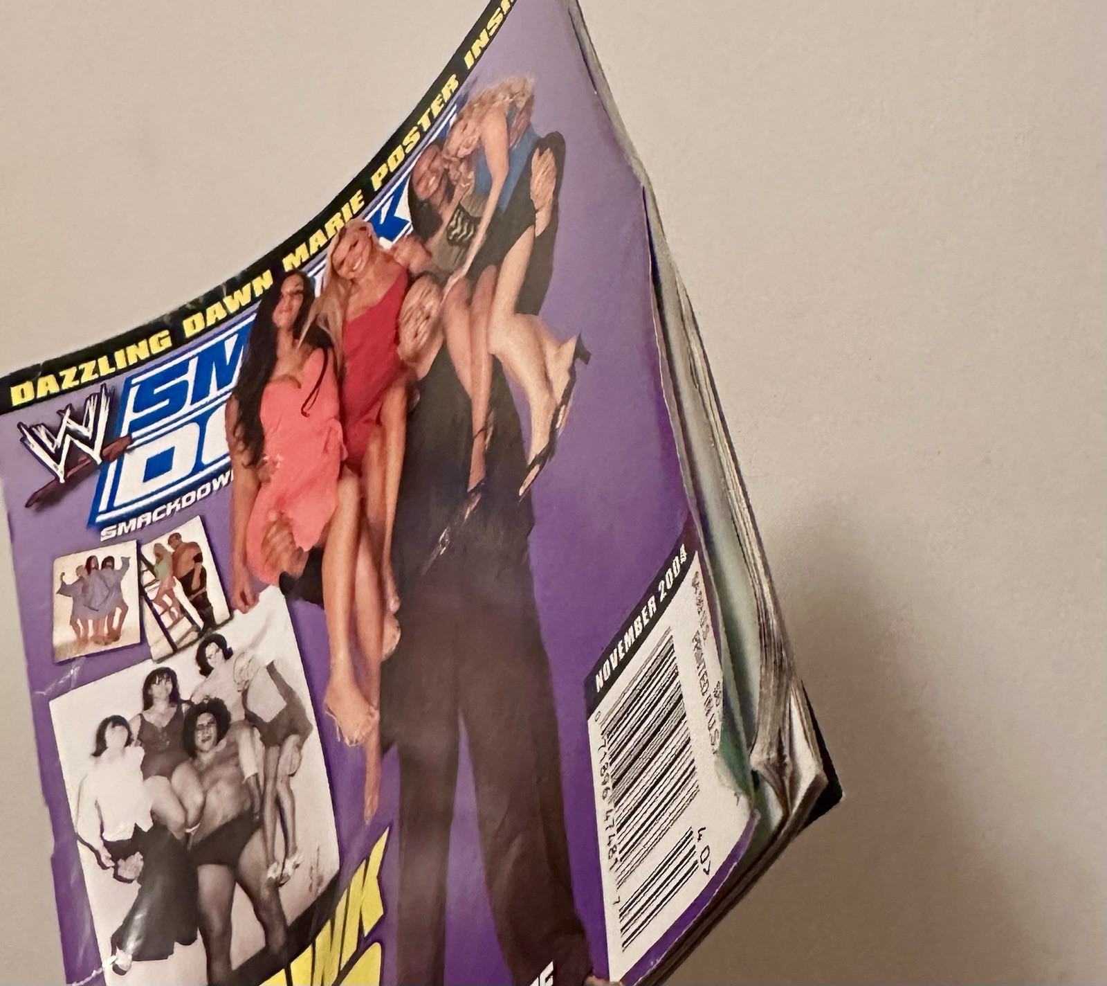 WWE Magazine Lot 2004 2005 RAW Royal Rumble SmackDown Big Show Vintage