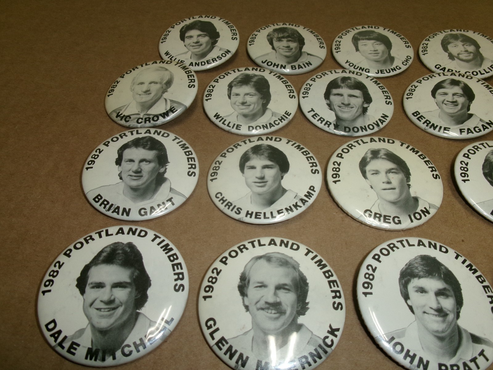 NASL 1982 Portland Timbers Soccer Team Lot of 19 DIFFERENT Pinback Buttons-2.25″