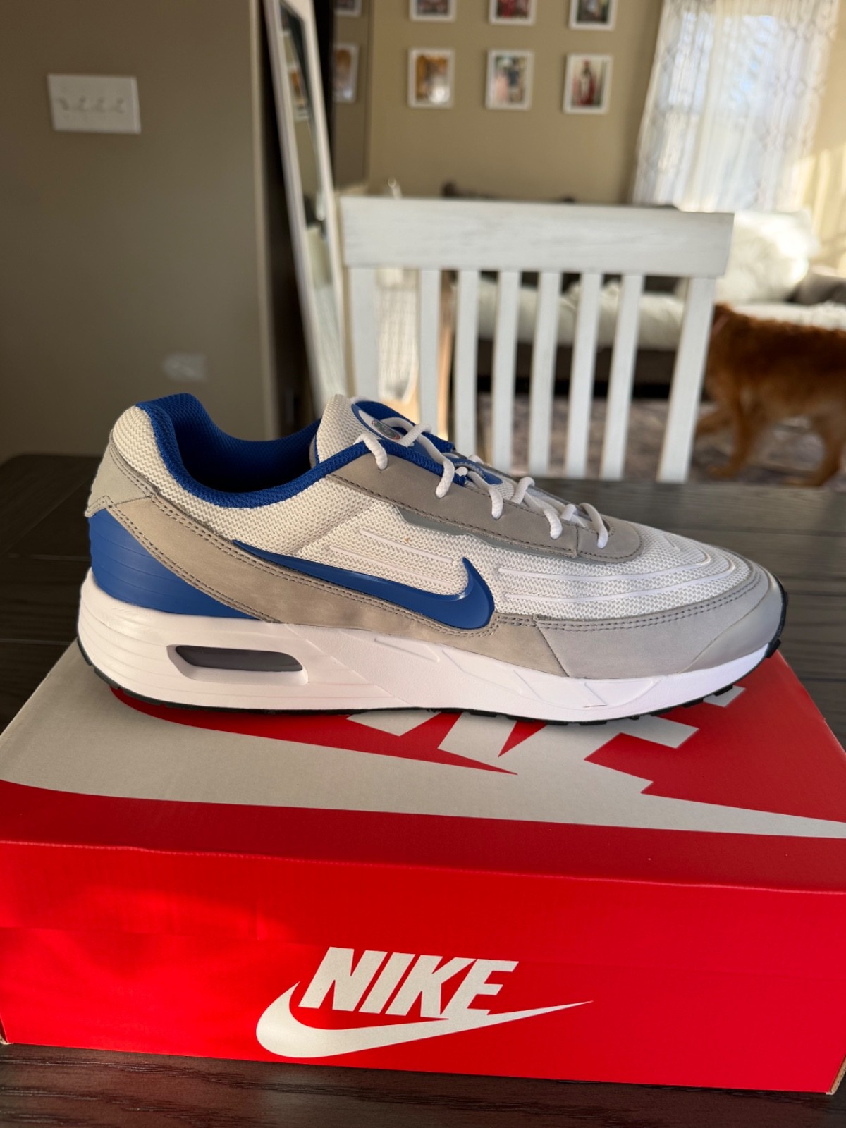 Florida Gators Nike Air Max Verse Shoes Sneaker Unisex 2025 NCAA UOF 10 No Box