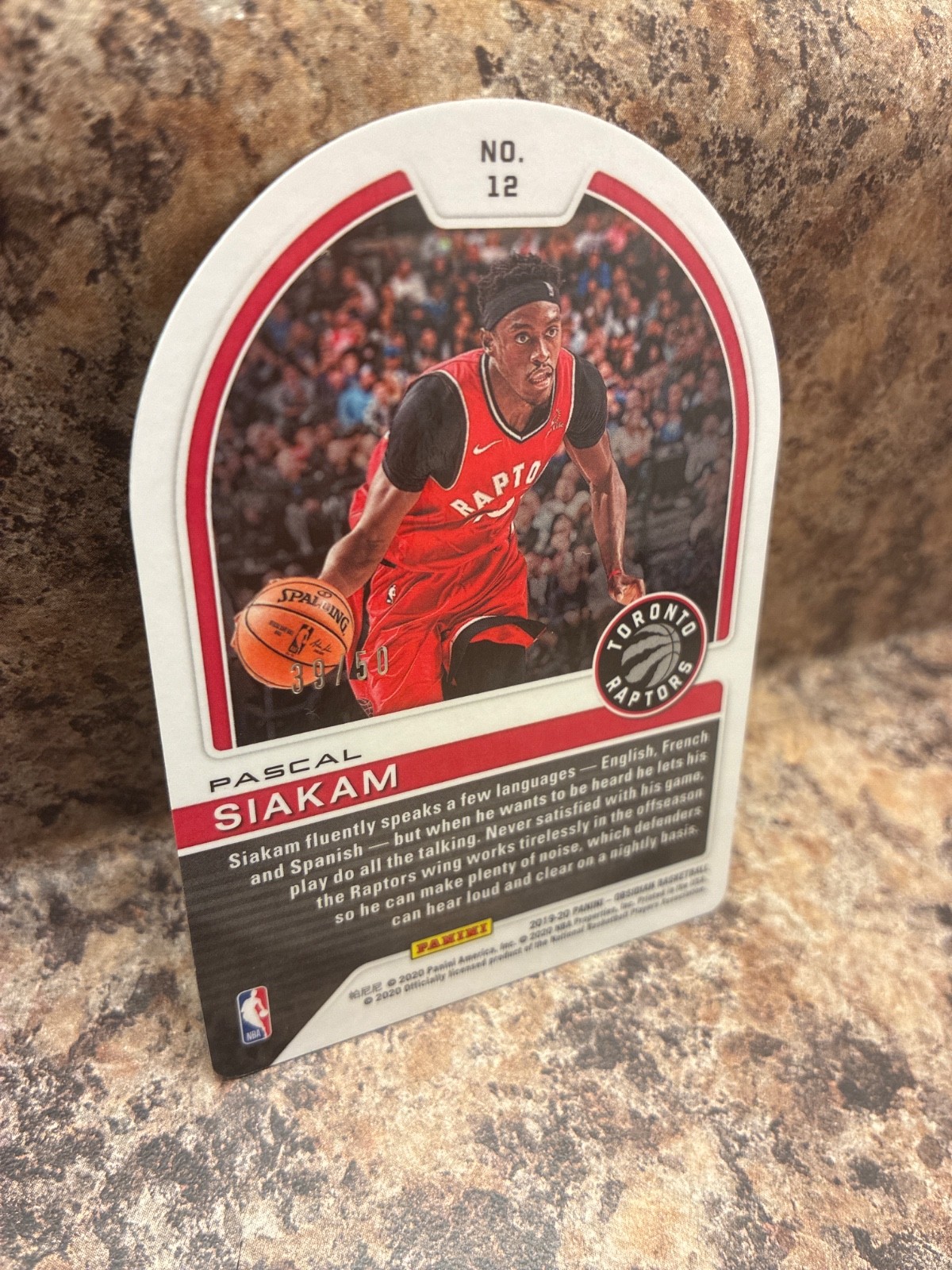 2019-20 Obsidian PASCAL SIAKAM “Tunnel Vision” #/50 PURPLE ETCH Die-Cut🔥#12