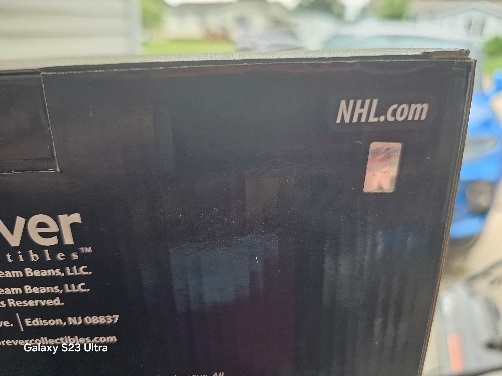 CAROLINA HURRICANES PIGGY BANK NHL HOCKEY NEW IN BOX LARGE SIZE