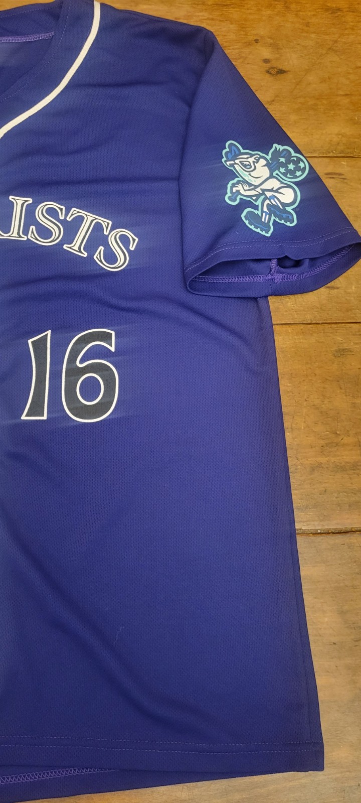 Asheville Tourists Jersey Mens XL Blue MiLB Baseball Promotional Adventures