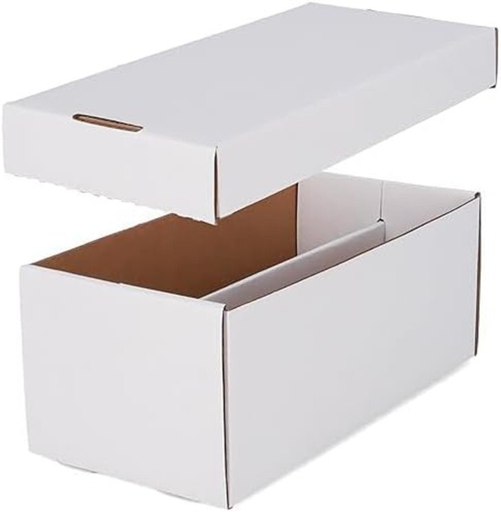 1 BCW Graded Box 2 Rows + 12 PSA Card Clear Slab Bumpers Safe Holders Set DEAL
