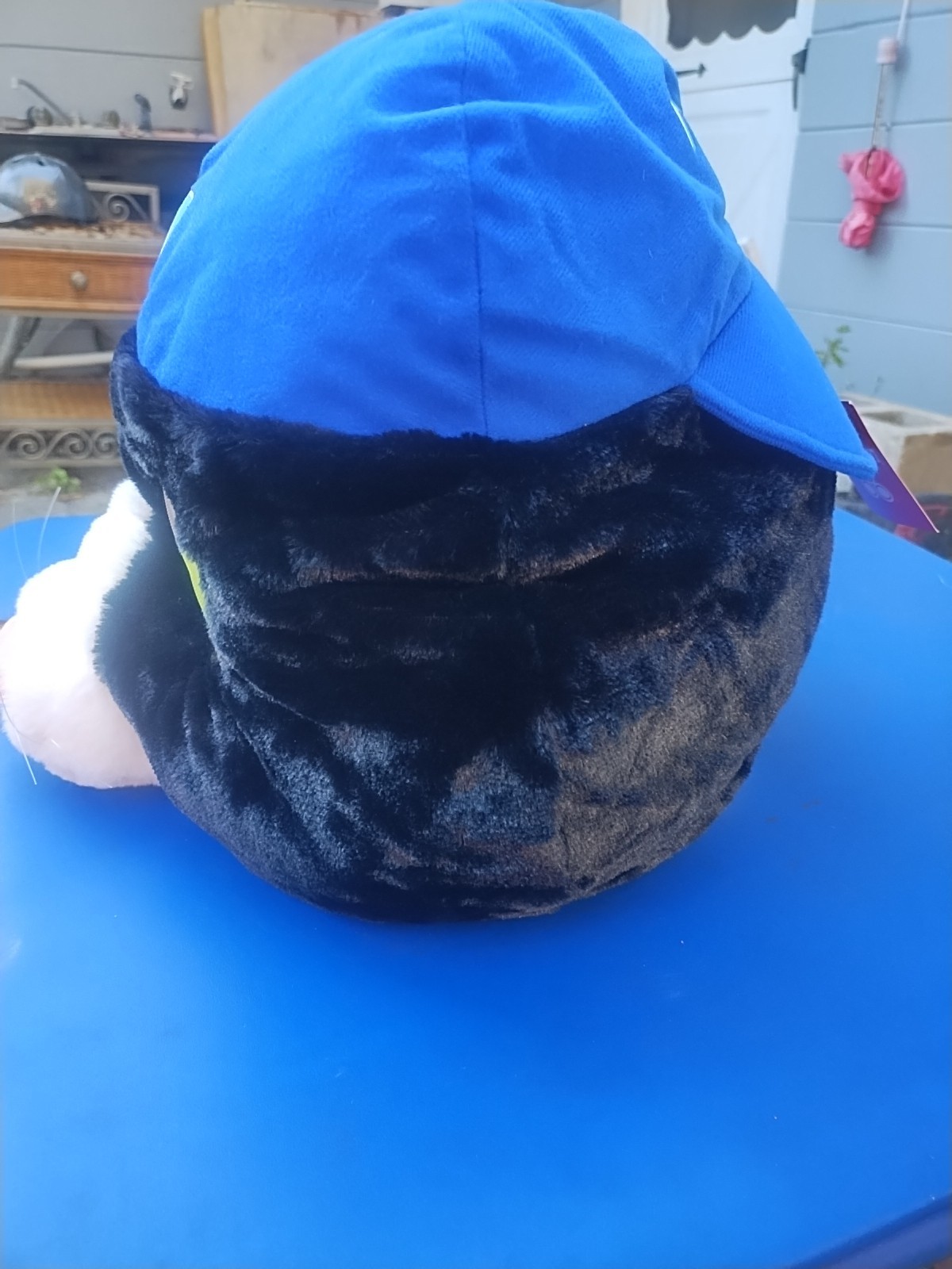 DJ Kitty Mascot Head Tampa Bay Rays Baseball 7/21/18 MLB NEW Devil Rays Giveaway