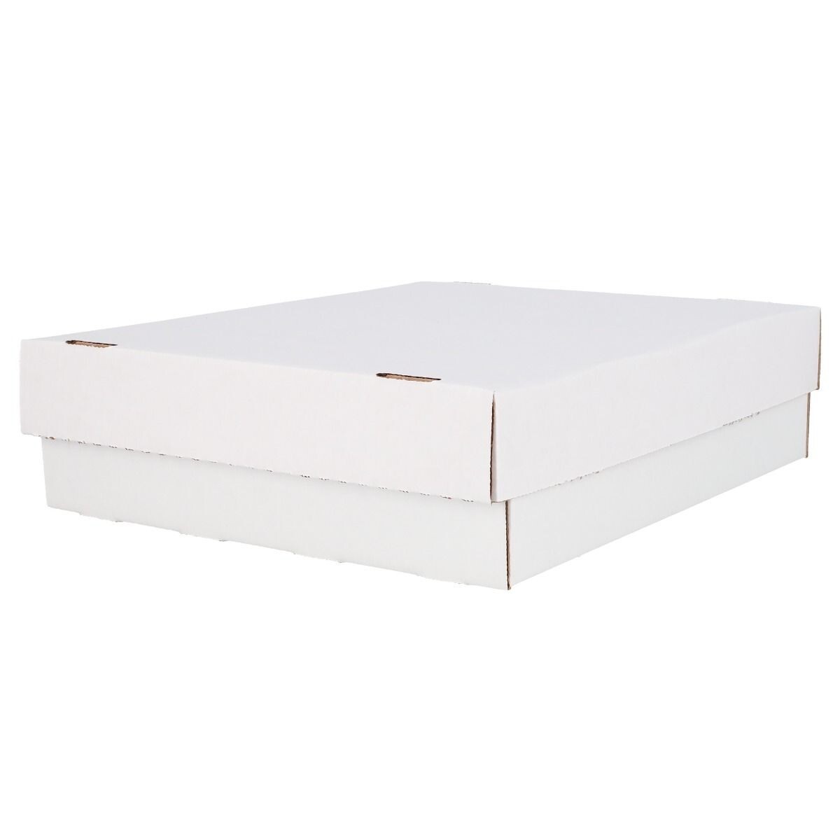 BCW Monster Storage Box For Trading Cards (3,200 CT.)