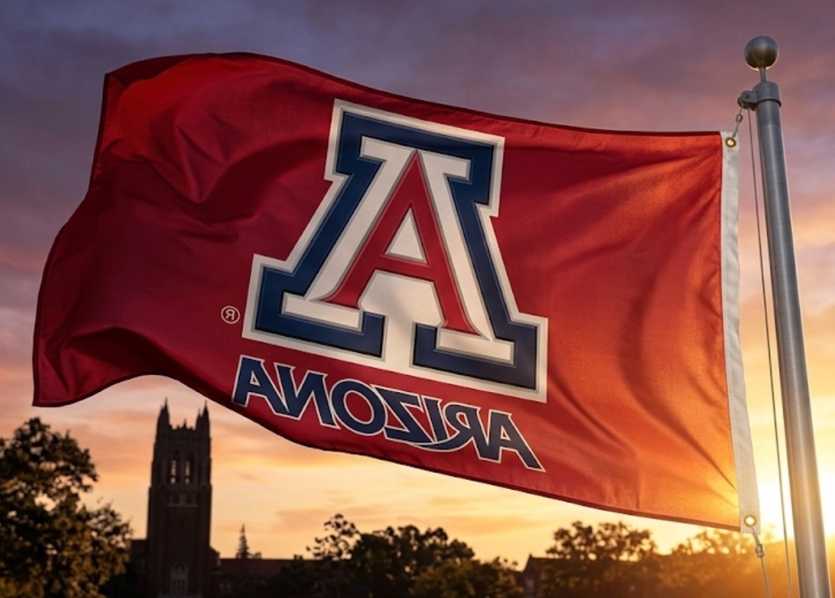 Arizona Wildcats 3×5 foot FLAG/Banner. Brand new USA SELLER