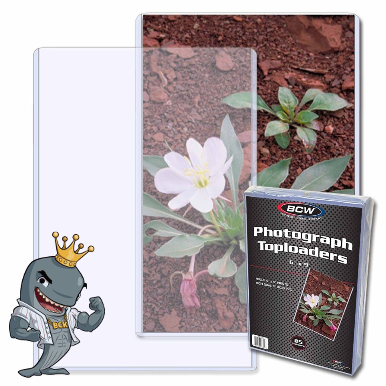 BCW 6×9 Topload Holder 25ct Pack FREE SHIP
