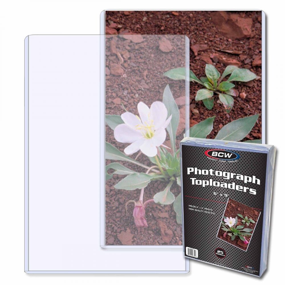 25 BCW Topload Holders Photo Postcard Rigid Sleeve 6×9 Safe Long Term Storage