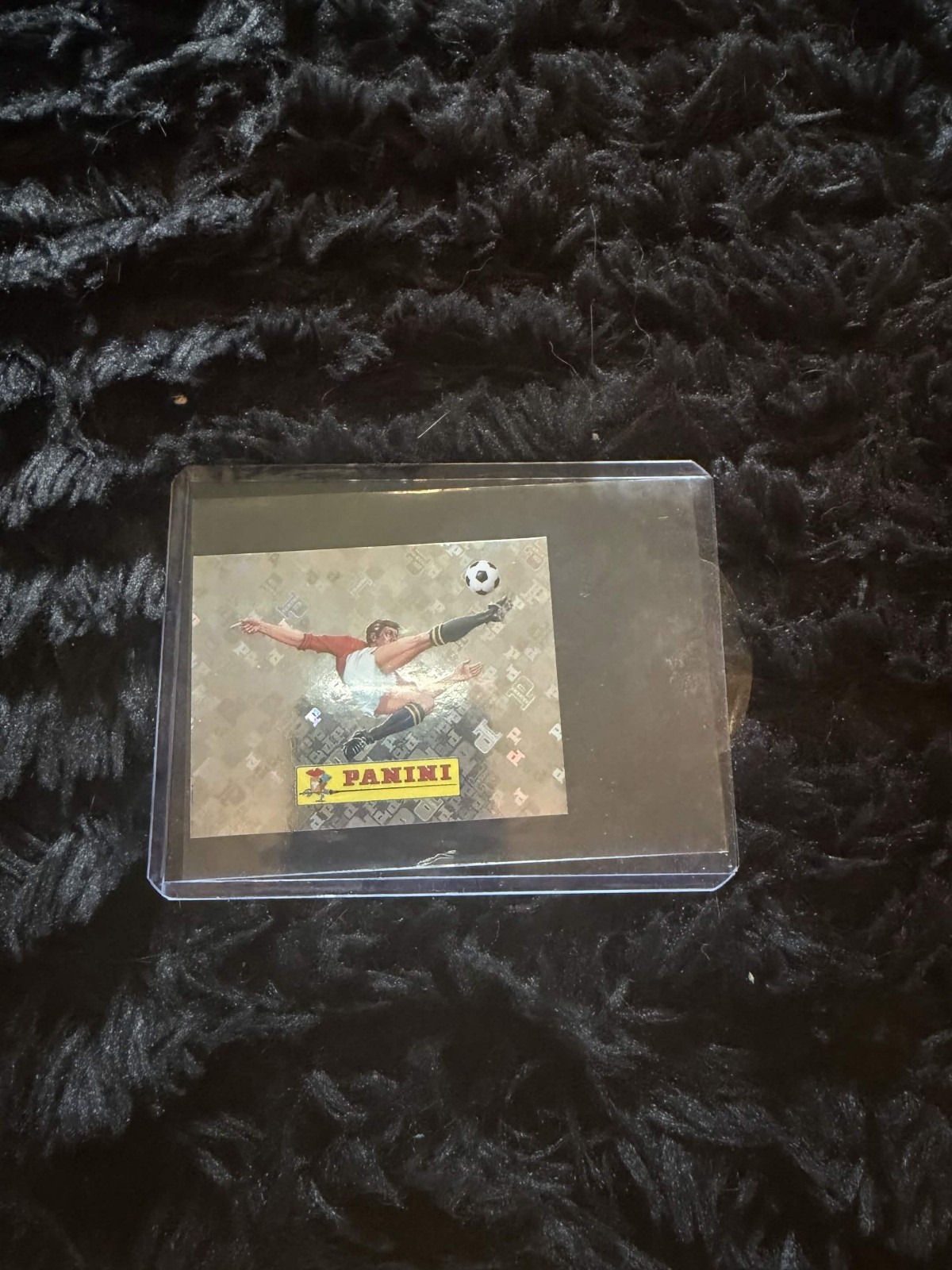 2026 Panini FIFA World Cup Sticker Collection 00 Panini Logo FOIL