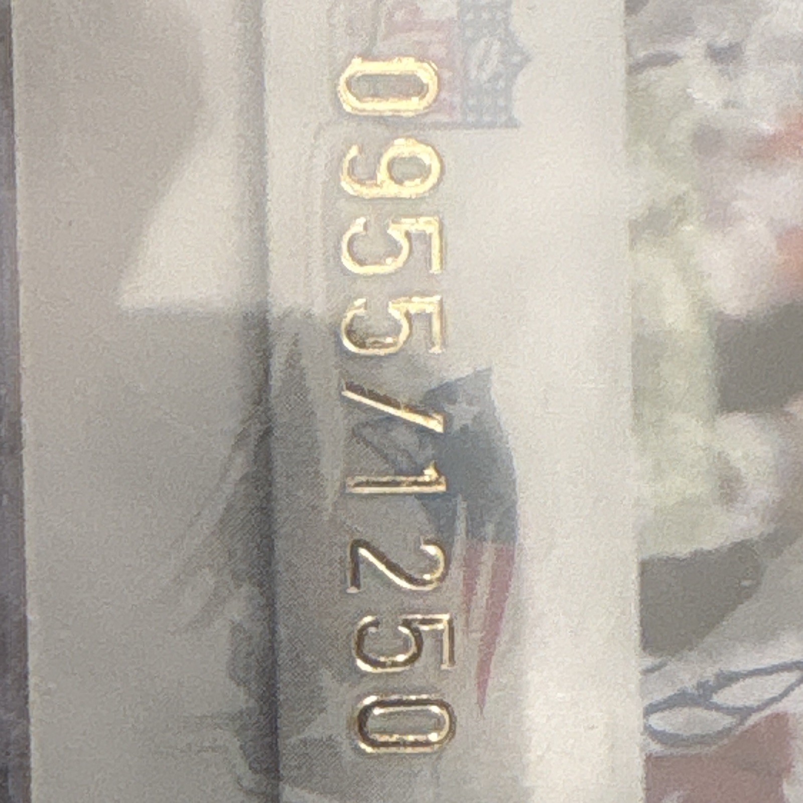 Donruss/Playoff 2005 Leaf Rookies & Stars Slideshow Tom Brady SS-12 /1250
