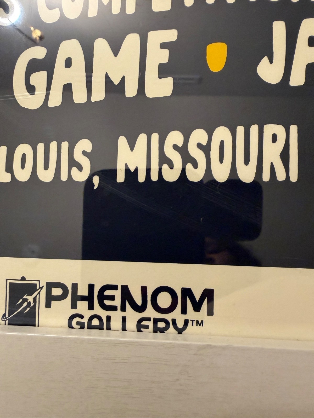 2020 NHL All-Star Game St. Louis Phenom Gallery LE 150/300 Signed Framed Art