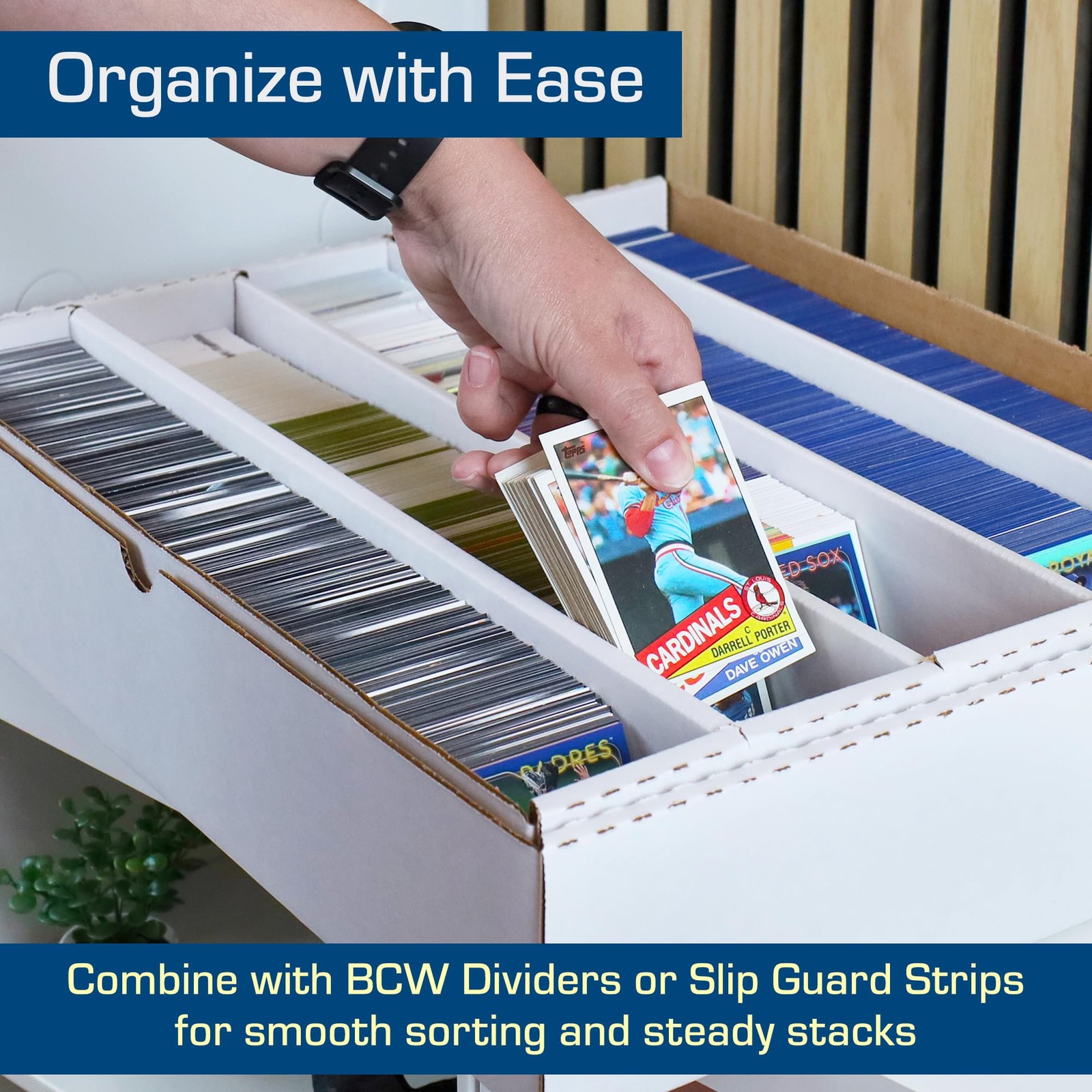 BCW 5000ct Trading Card Storage Boxes (Full Lid) – 5 Pack | TCG & MTG Card St…