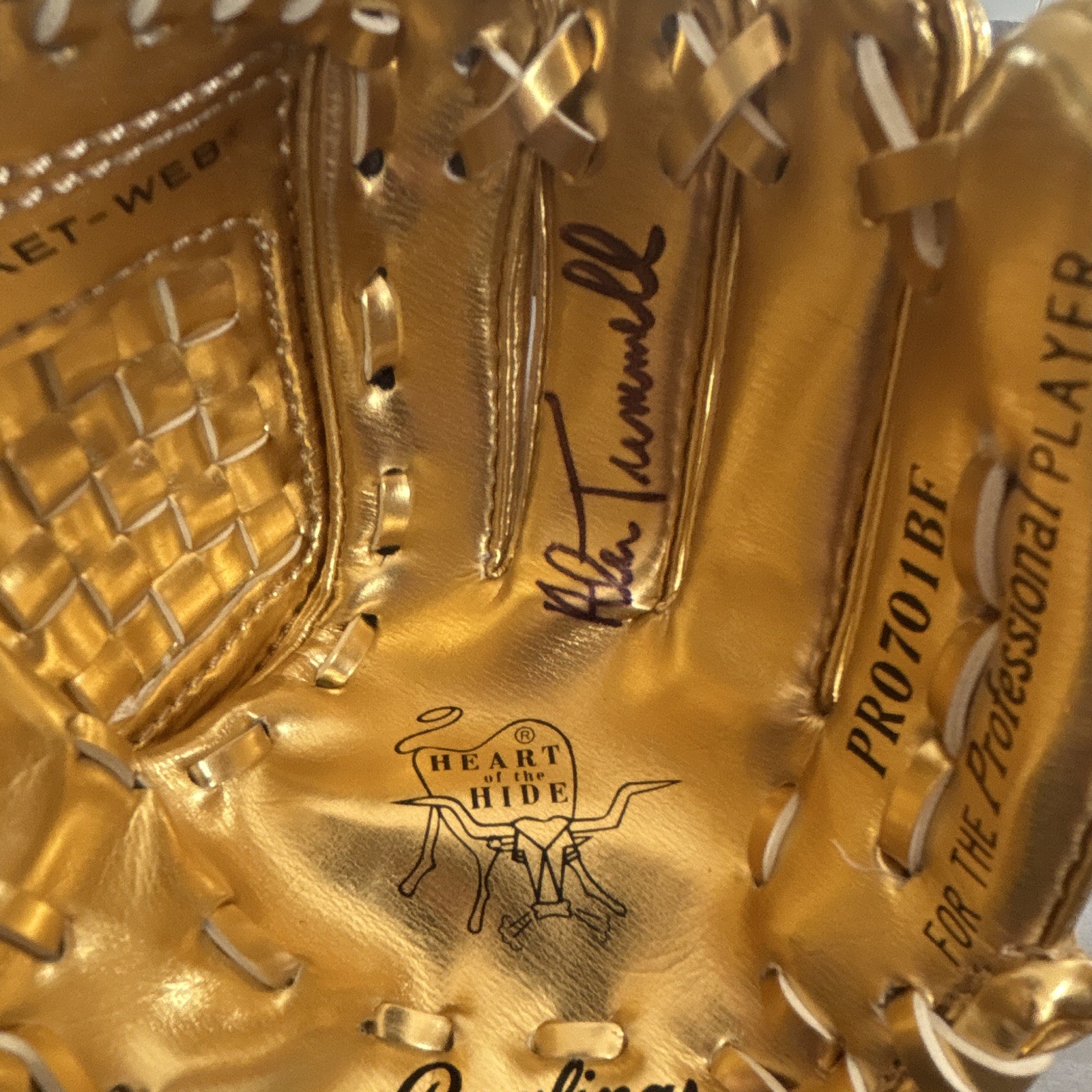 Alan Trammell autographed Rawlings Gold Glove Award mini Gold Leather Glove JSA