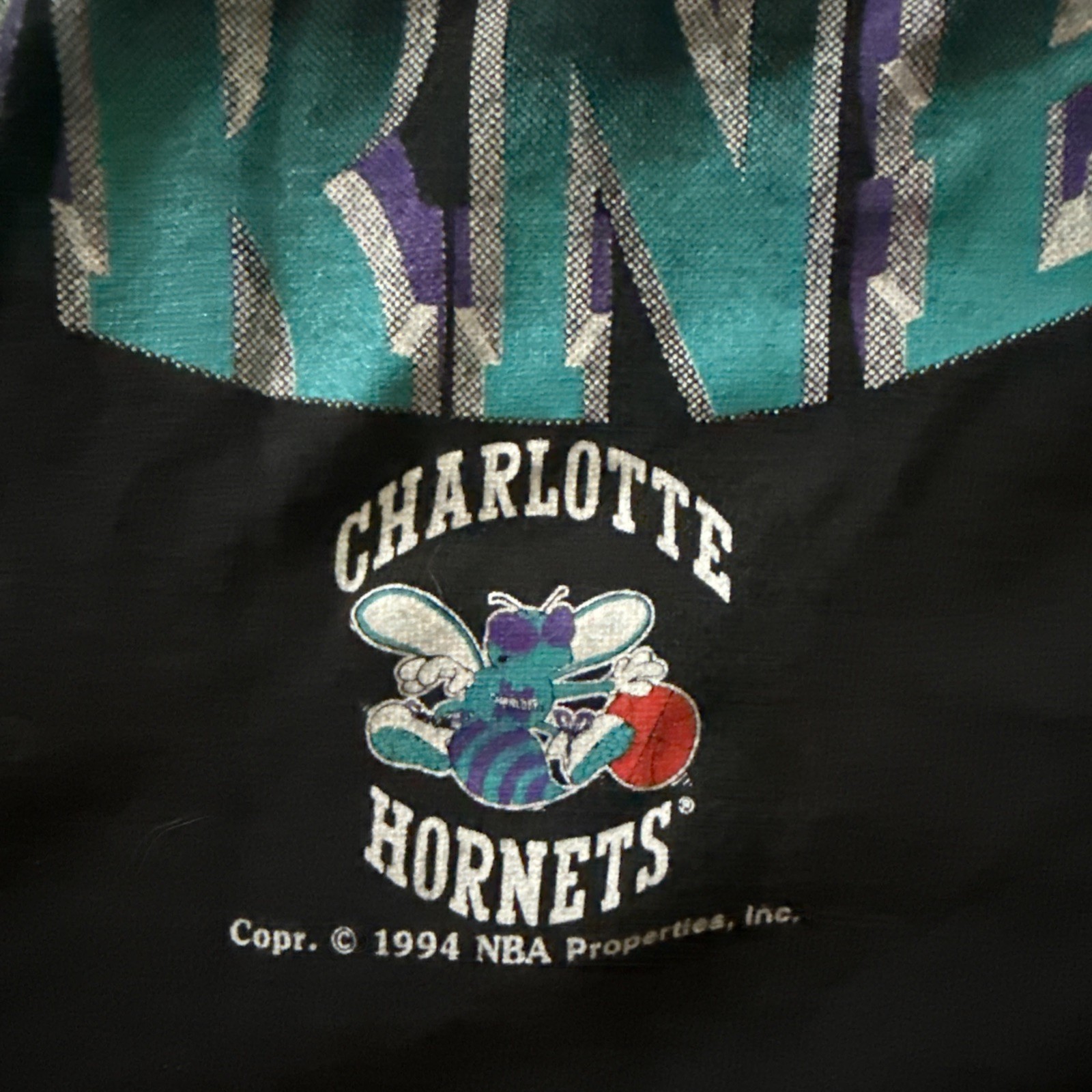 Vintage Nutmeg 1994 Charlotte Hornets Double sided T Shirt AOP Mascot Breakthru