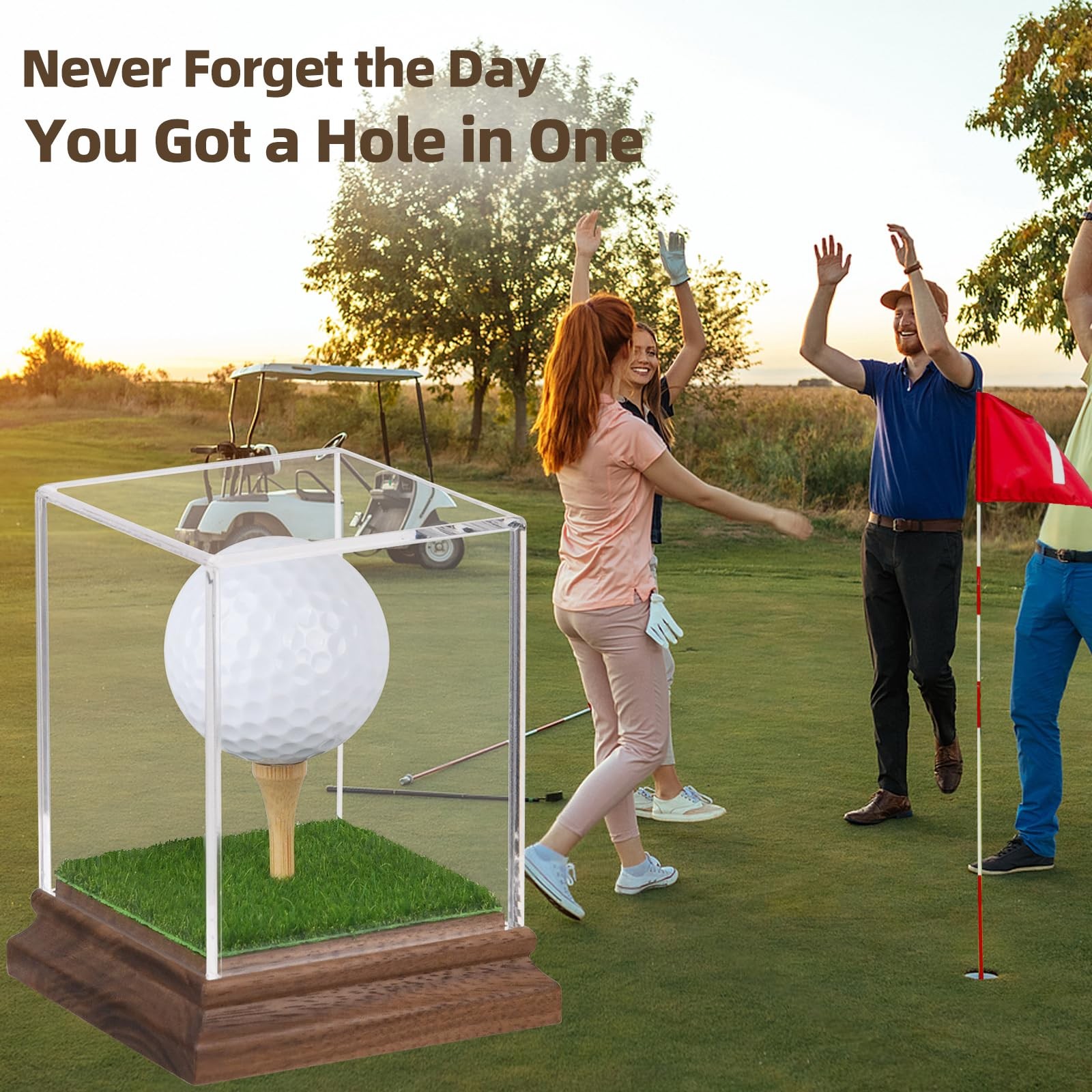 Golf Ball Display Case Hole in One Holder with Acrylic Base and Turf Stand