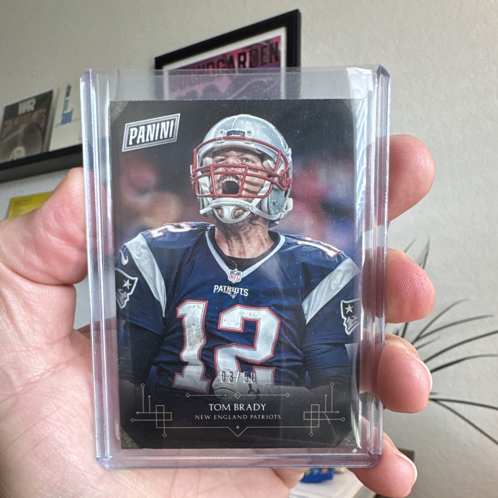2016 Panini Black Friday Football Tom Brady #22 Patriots Serial Numbered /50