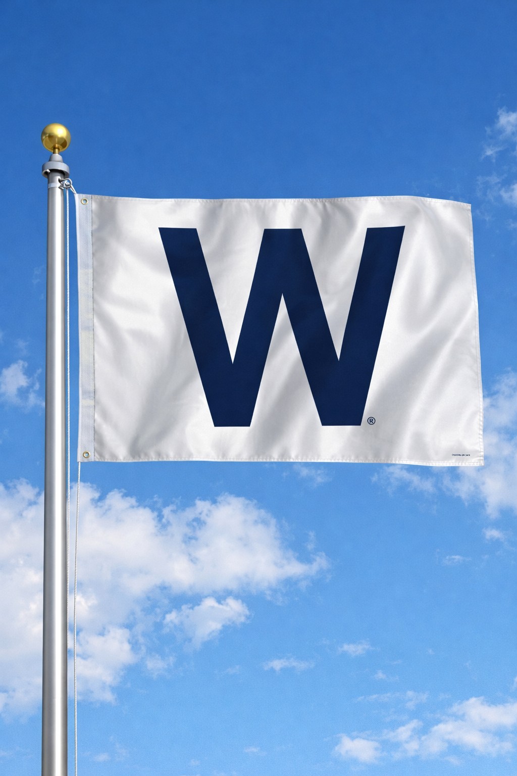 Chicago Cubs W Flag 2 X 3