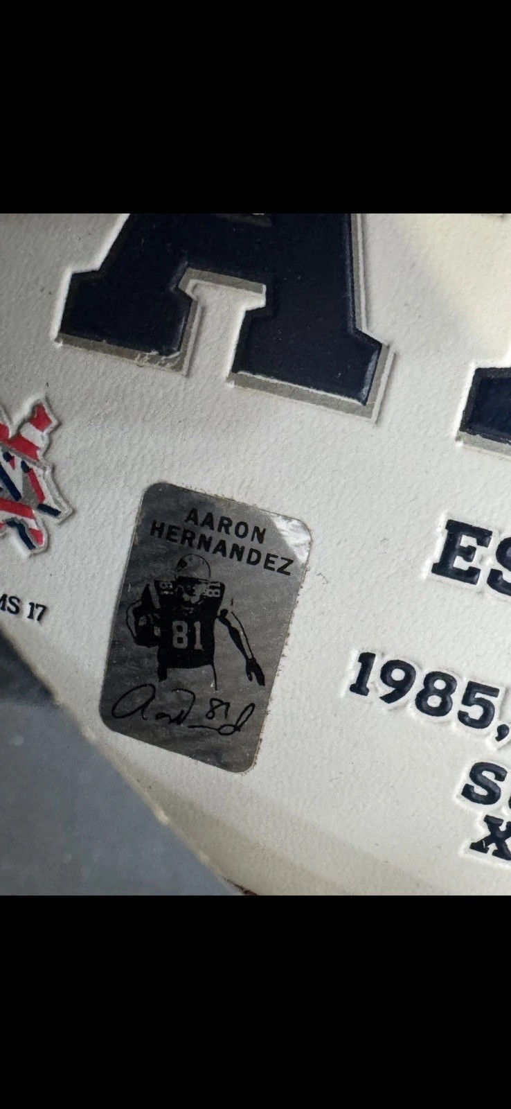 Aaron Hernandez Signed Full Size Football Personal Holo/ Palm Beach COA